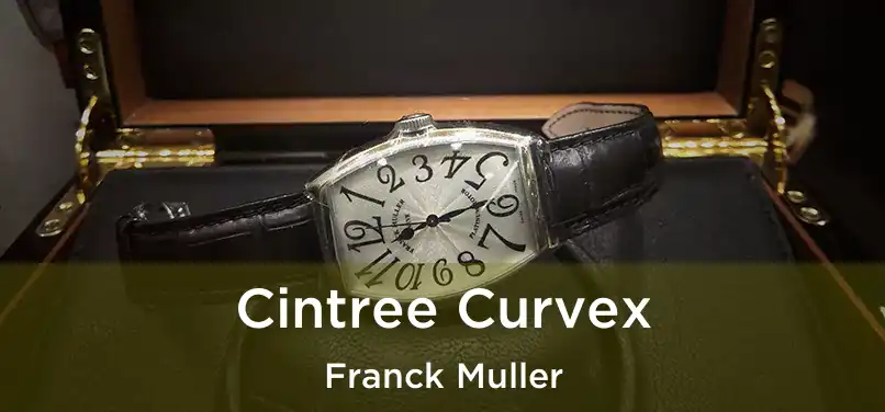  Cintree Curvex Franck Muller