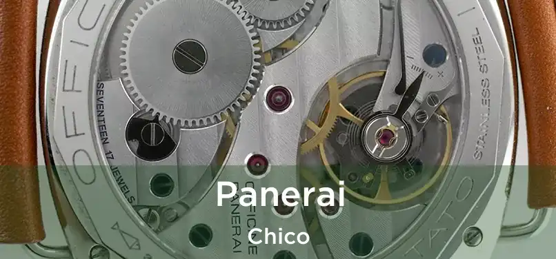  Panerai Chico