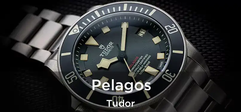  Pelagos Tudor