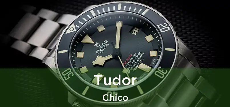  Tudor Chico