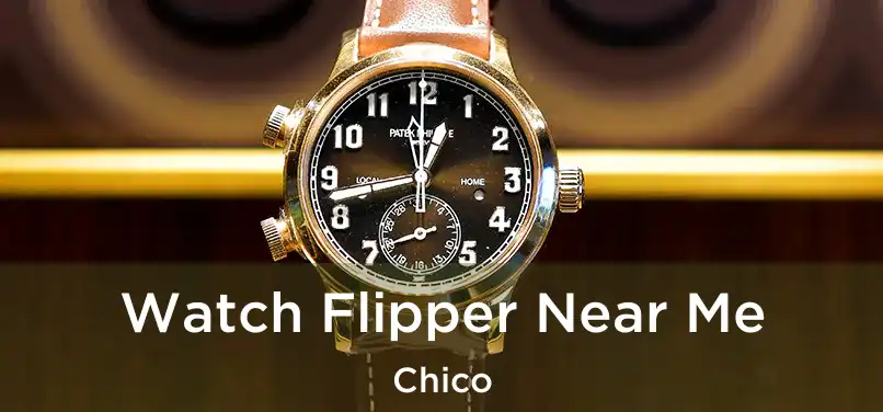  Watch Flipper Near Me Chico